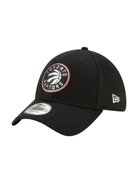 Toronto Raptors New Era Back Half Team 39THIRTY